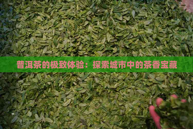 普洱茶的极致体验：探索城市中的茶香宝藏