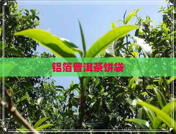 铝箔普洱茶饼袋