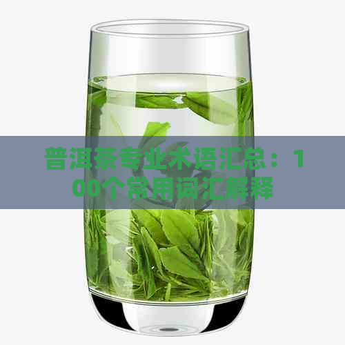 普洱茶专业术语汇总：100个常用词汇解释