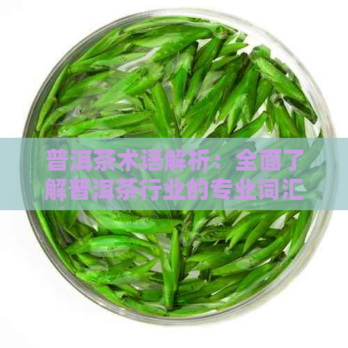 普洱茶术语解析：全面了解普洱茶行业的专业词汇和概念