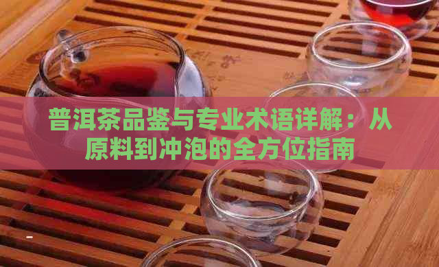 普洱茶品鉴与专业术语详解：从原料到冲泡的全方位指南