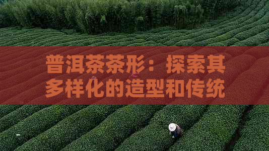 普洱茶茶形：探索其多样化的造型和传统工艺