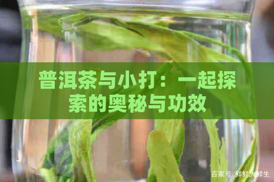 普洱茶与小打：一起探索的奥秘与功效