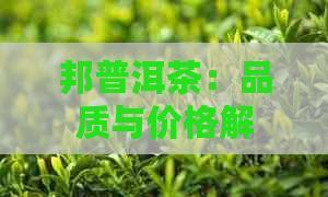 邦普洱茶：品质与价格解析，你值得了解的茶叶投资指南