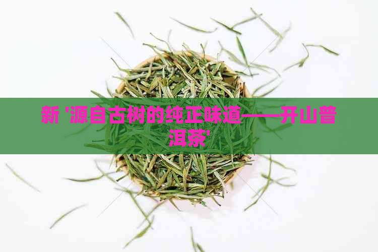 新 '源自古树的纯正味道——开山普洱茶'