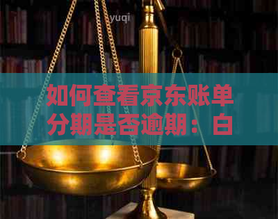 如何查看京东账单分期是否逾期：白条查询及记录指南