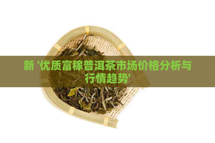 新 '优质富稼普洱茶市场价格分析与行情趋势'