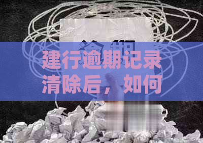 建行逾期记录清除后，如何再次申请建设银行信用卡并进行还款？