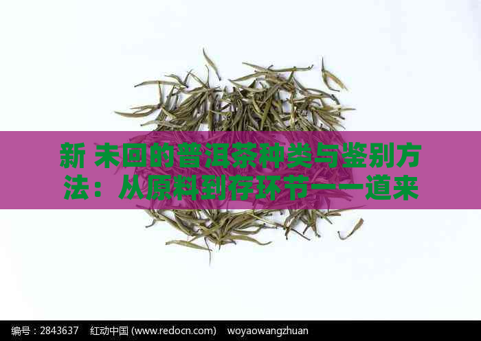 新 未回的普洱茶种类与鉴别方法：从原料到存环节一一道来