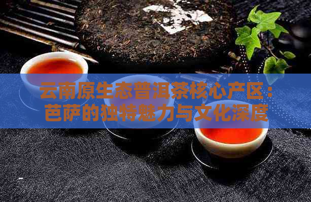 云南原生态普洱茶核心产区：芭萨的独特魅力与文化深度