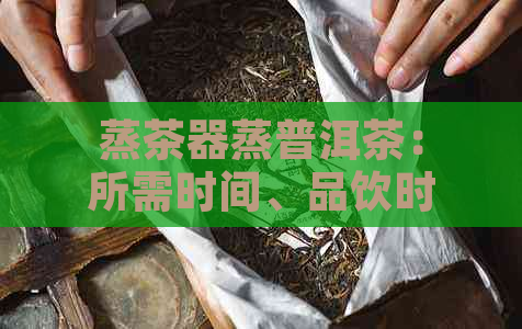 蒸茶器蒸普洱茶：所需时间、品饮时间与熟化时间全解析