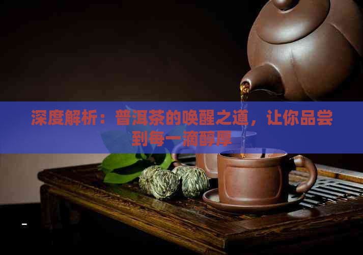 深度解析：普洱茶的唤醒之道，让你品尝到每一滴醇厚