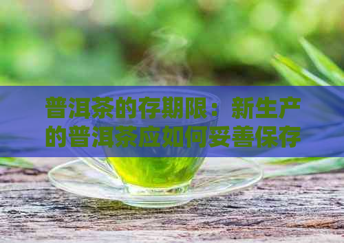 普洱茶的存期限：新生产的普洱茶应如何妥善保存？