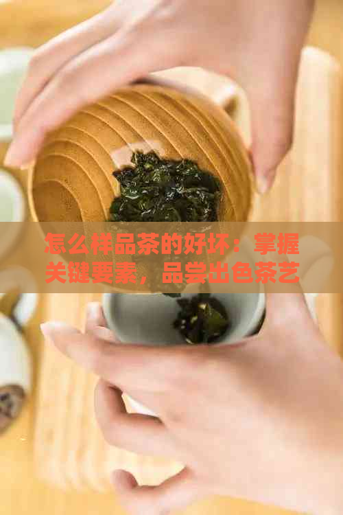 怎么样品茶的好坏：掌握关键要素，品尝出色茶艺