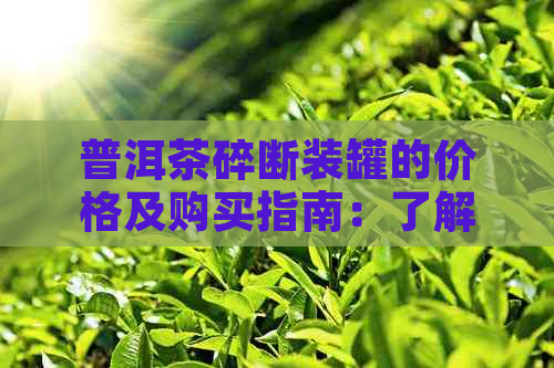 普洱茶碎断装罐的价格及购买指南：了解品质与口感，挑选合适茶叶。