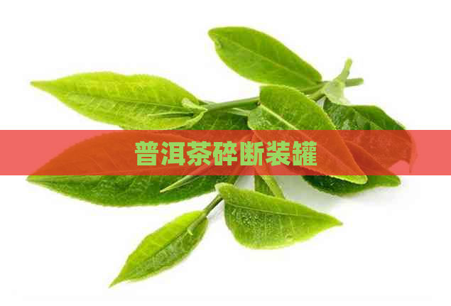 普洱茶碎断装罐