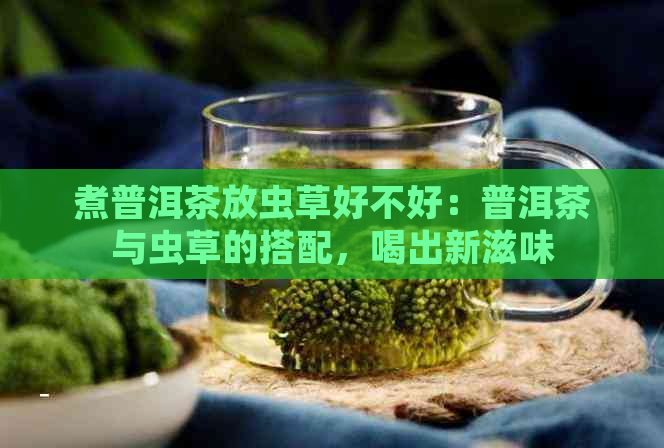 煮普洱茶放虫草好不好：普洱茶与虫草的搭配，喝出新滋味