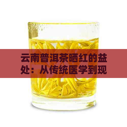 云南普洱茶晒红的益处：从传统医学到现代科学的观点