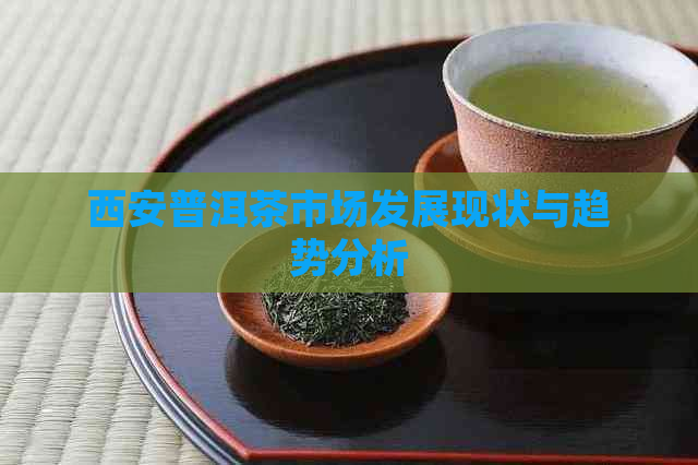 西安普洱茶市场发展现状与趋势分析