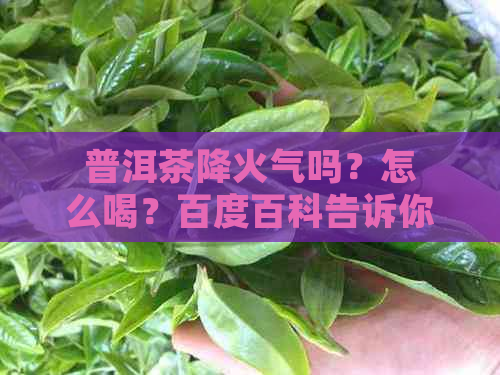 普洱茶降火气吗？怎么喝？百度百科告诉你。