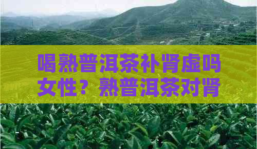 喝熟普洱茶补肾虚吗女性？熟普洱茶对肾有没有伤害？