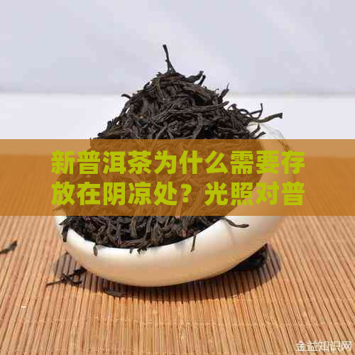 新普洱茶为什么需要存放在阴凉处？光照对普洱茶品质的影响是什么？