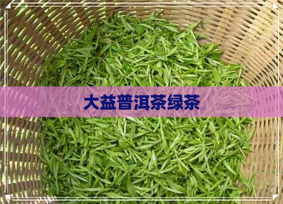 大益普洱茶绿茶