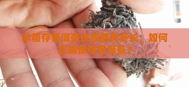 冰箱存普洱茶保质期有多长，如何正确保存普洱茶？