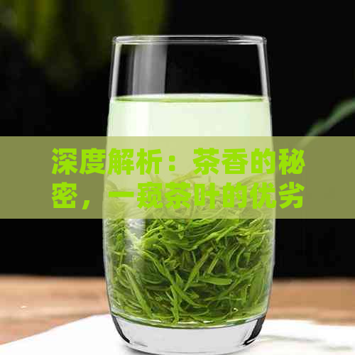 深度解析：茶香的秘密，一窥茶叶的优劣之分