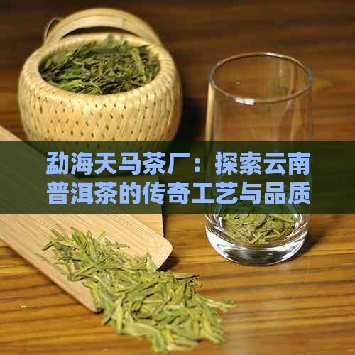 勐海天马茶厂：探索云南普洱茶的传奇工艺与品质之旅