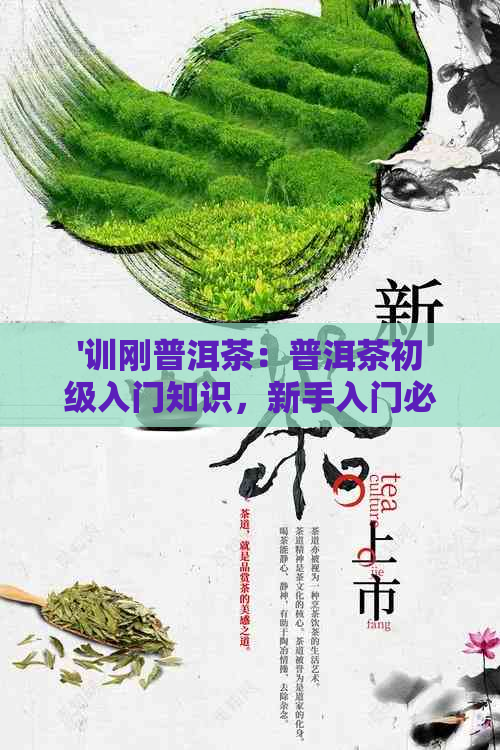 '训刚普洱茶：普洱茶初级入门知识，新手入门必备宝典，初识普洱茶'