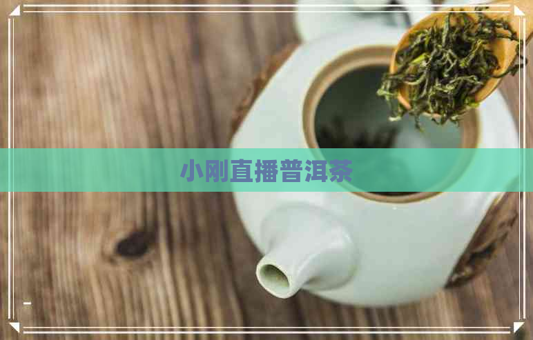 小刚直播普洱茶