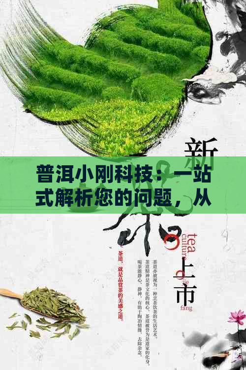 普洱小刚科技：一站式解析您的问题，从产品选择到使用指南