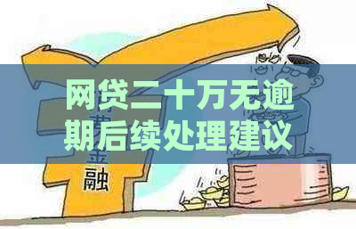 网贷二十万无逾期后续处理建议：会怎样？怎么办？会起诉吗？