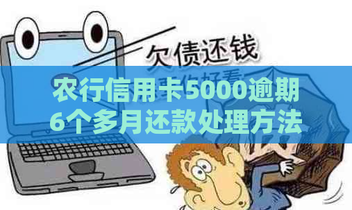 农行信用卡5000逾期6个多月还款处理方法和后果，如何解决？