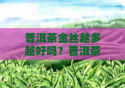 普洱茶金丝越多越好吗？普洱茶里的金丝是什么？