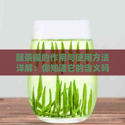 醒茶罐的作用与使用方法详解：你知道它的含义吗？