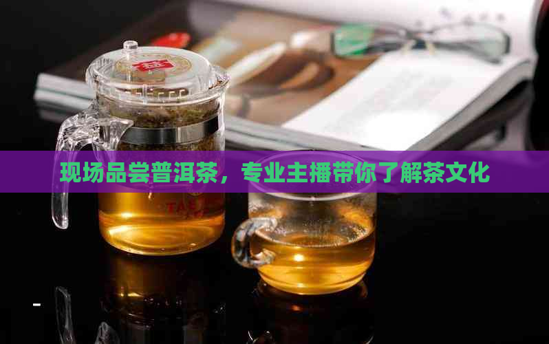 现场品尝普洱茶，专业主播带你了解茶文化