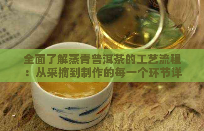 全面了解蒸青普洱茶的工艺流程：从采摘到制作的每一个环节详解