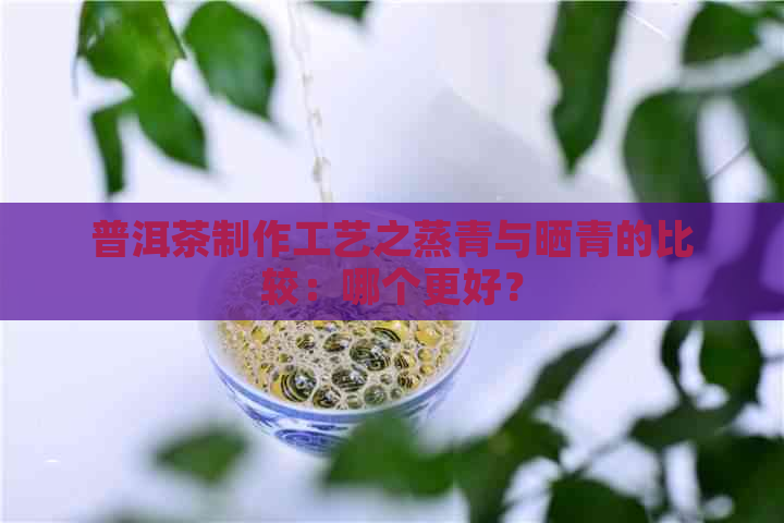 普洱茶制作工艺之蒸青与晒青的比较：哪个更好？