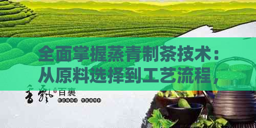 全面掌握蒸青制茶技术：从原料选择到工艺流程，让你成为茶叶专家