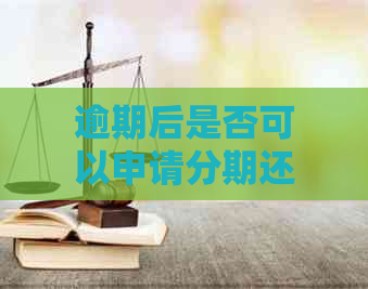 逾期后是否可以申请分期还款？逾期后还款的详细流程及注意事项