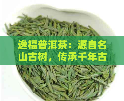 逸福普洱茶：源自名山古树，传承千年古法，品味纯正云南味道