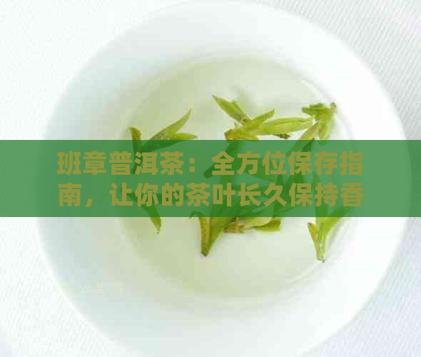 班章普洱茶：全方位保存指南，让你的茶叶长久保持香醇