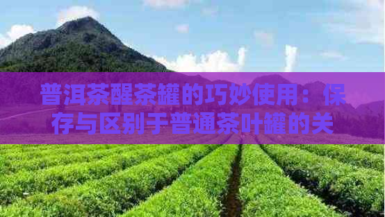 普洱茶醒茶罐的巧妙使用：保存与区别于普通茶叶罐的关键步骤