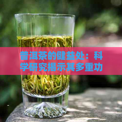 普洱茶的健益处：科学研究揭示其多重功效