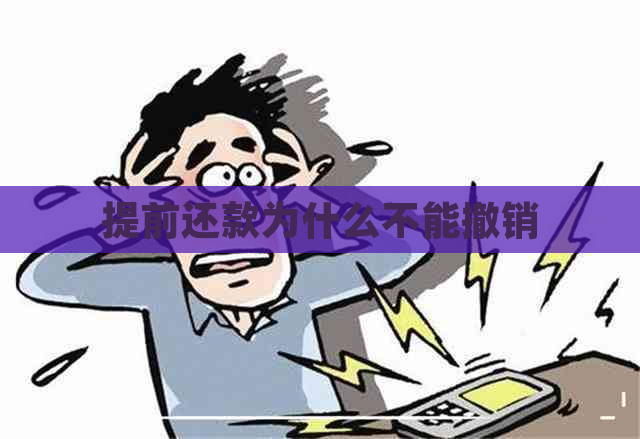 提前还款为什么不能撤销