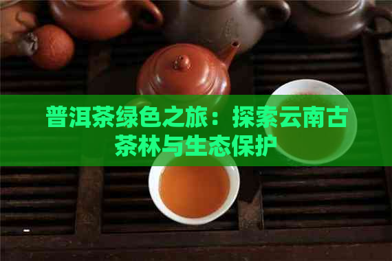 普洱茶绿色之旅：探索云南古茶林与生态保护