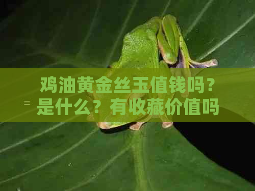 鸡油黄金丝玉值钱吗？是什么？有收藏价值吗？是染色的吗？