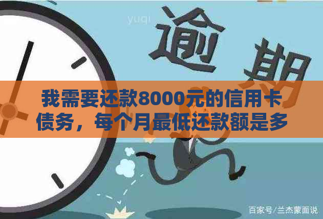 我需要还款8000元的信用卡债务，每个月更低还款额是多少？